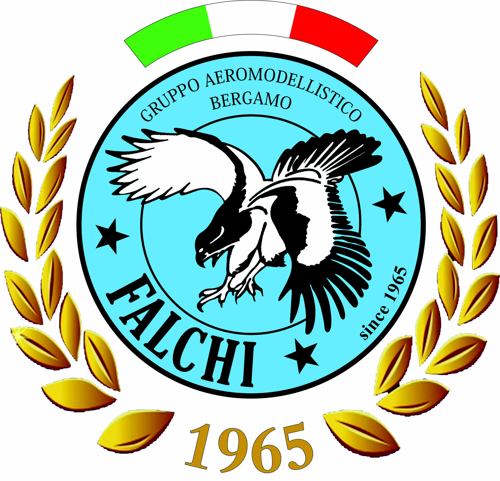 www.gruppofalchi.com